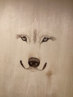 Wolf #2, still working