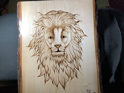 Lion