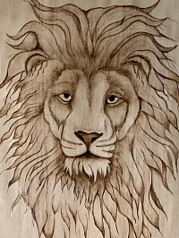 Lion#2
