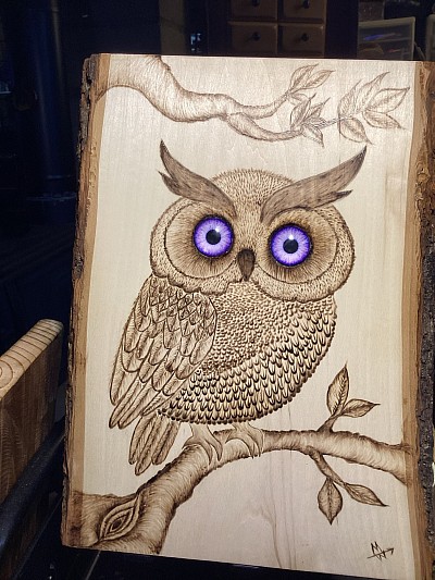 Mystical Owl