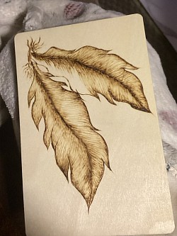 Feathers