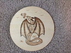Little dragon