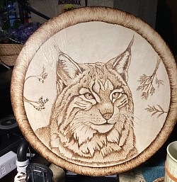 Finished lynx, sold